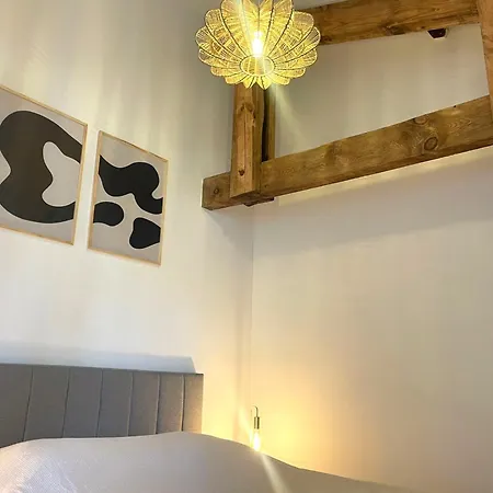 Logement Neuf, Equipe, Climatisation, Terrasse Au Calme, Velos, Proche Du Bourg Et De La Plage, Wifi, Linge Et Menage Compris Apartman Mimizan-Plage