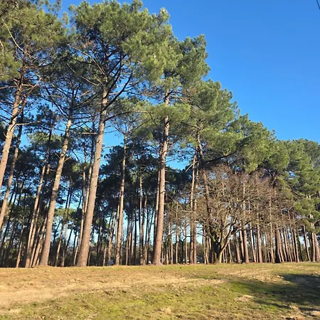 Logement Neuf, Equipe, Climatisation, Terrasse Au Calme, Velos, Proche Du Bourg Et De La Plage, Wifi, Linge Et Menage Compris